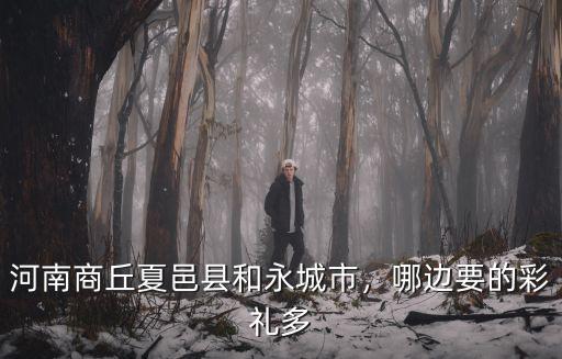 河南商丘夏邑縣和永城市，哪邊要的彩禮多