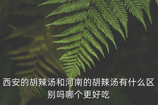 松江哪里有河南胡辣湯,河南的胡辣湯有哪幾種