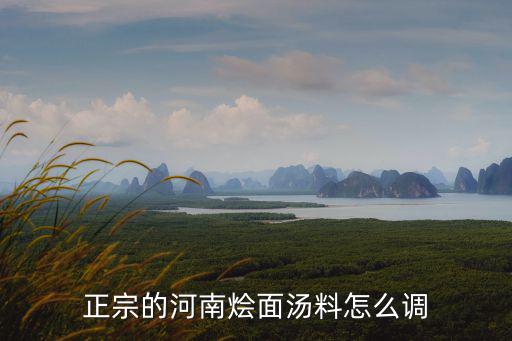 正宗的河南燴面湯料怎么調