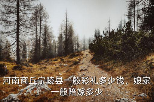 河南商丘寧陵縣一般彩禮多少錢，娘家一般陪嫁多少