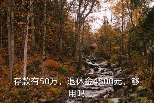 南陽4500元退休金怎么樣,退休金4500元