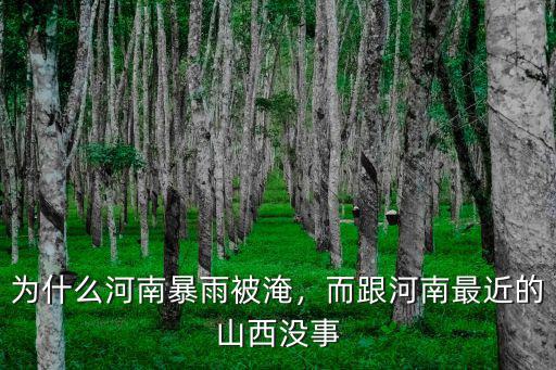 河南扶溝現在哪里被淹,為什么河南暴雨被淹
