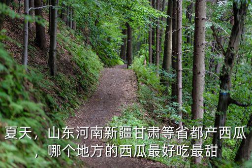 夏天，山東河南新疆甘肅等省都產西瓜，哪個地方的西瓜最好吃最甜