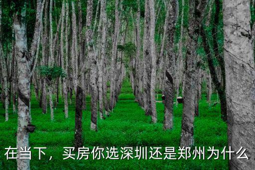 深圳樂有家鄭州公司怎么樣,鄭州富士康怎么樣
