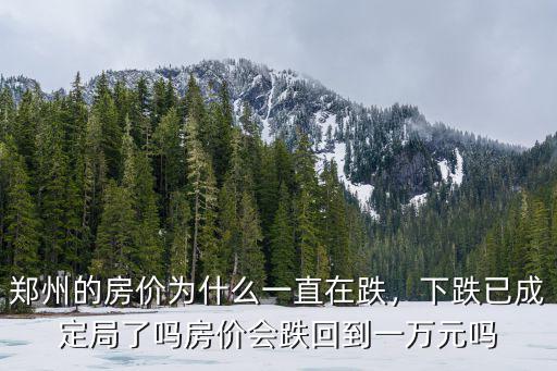 鄭州房價會下跌到多少錢,房價會跌回到一萬元嗎