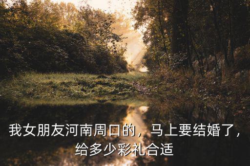 河南這邊禮金給多少好看,周口這邊彩禮多少