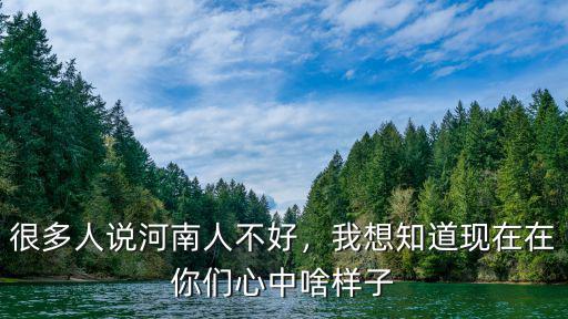 很多人說河南人不好，我想知道現在在你們心中啥樣子