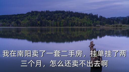 我在南陽賣了一套二手房，掛單掛了兩三個月，怎么還賣不出去啊