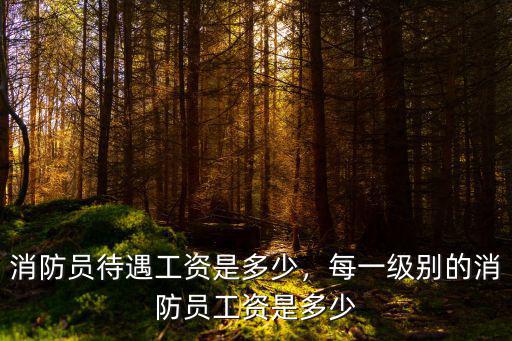 消防員待遇工資是多少，每一級別的消防員工資是多少