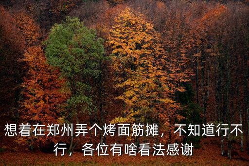 鄭州烤箱面筋哪里有賣(mài),鄭州哪家烤面筋好吃