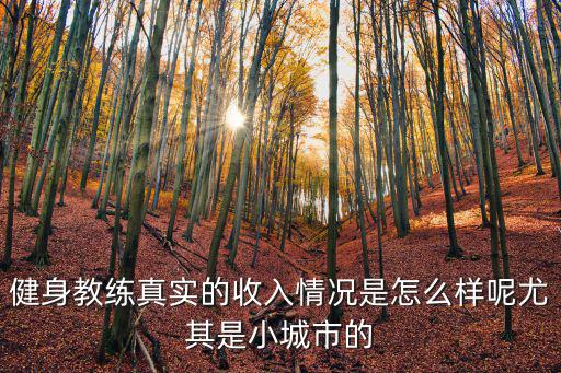 健身教練真實(shí)的收入情況是怎么樣呢尤其是小城市的