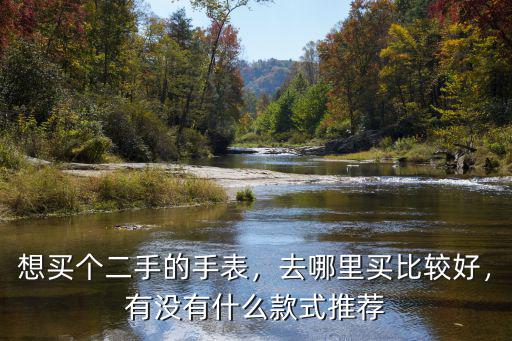 安陽賣二手手表到哪里,想買個二手的手表