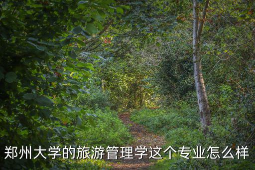 鄭州大學的旅游管理學這個專業(yè)怎么樣