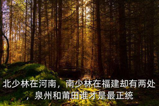 河南北少林武校報(bào)名多少,北少林在河南