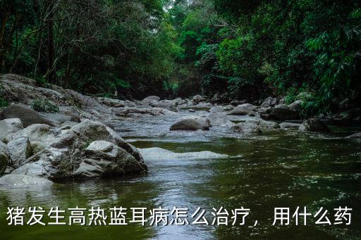 焦作豬藍耳病怎么治,豬腦炎怎么治