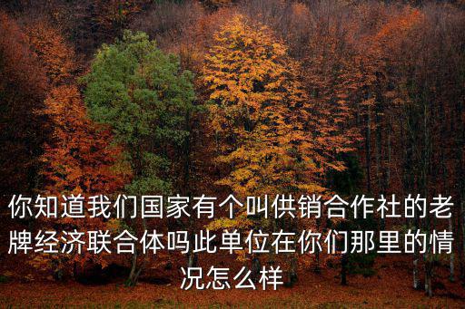 你知道我們國家有個叫供銷合作社的老牌經濟聯合體嗎此單位在你們那里的情況怎么樣