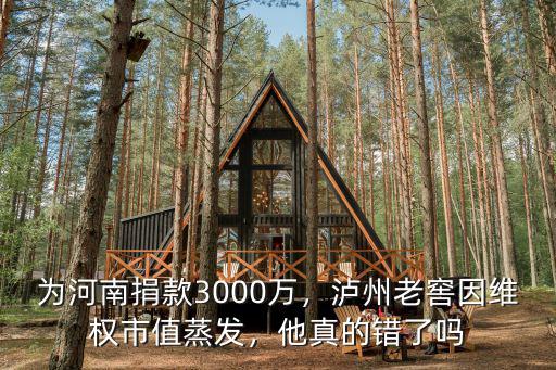 瀘州老窖為河南捐款多少,為河南捐款3000萬