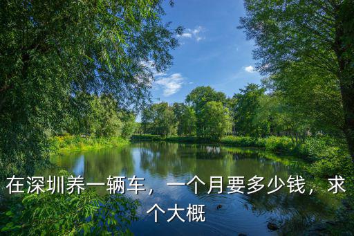 深圳到漯河開車多少錢一個月,一個月要多少錢