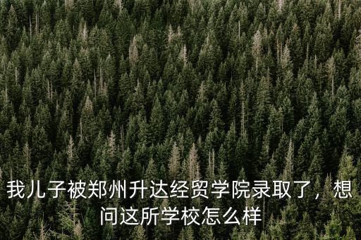 我兒子被鄭州升達經貿學院錄取了，想問這所學校怎么樣