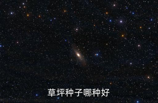 南陽哪里賣草坪種子,草坪種子哪種好
