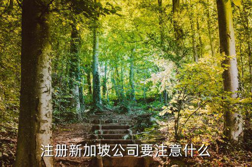 鄭州新加坡企業(yè)注冊(cè)費(fèi)用一般多少,新加坡公司注冊(cè)需要多少錢