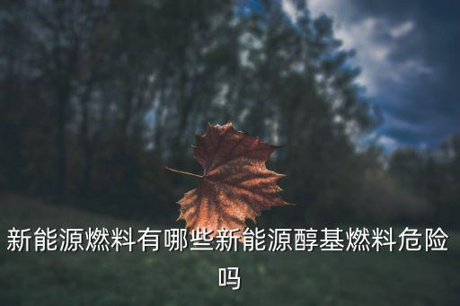 新能源燃料有哪些新能源醇基燃料危險嗎