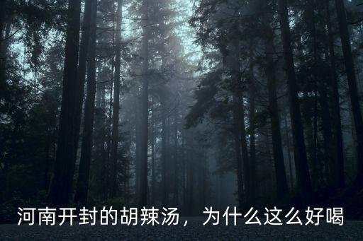 河南開封的胡辣湯，為什么這么好喝