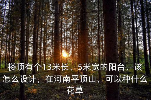 樓頂有個13米長、5米寬的陽臺，該怎么設計，在河南平頂山，可以種什么花草