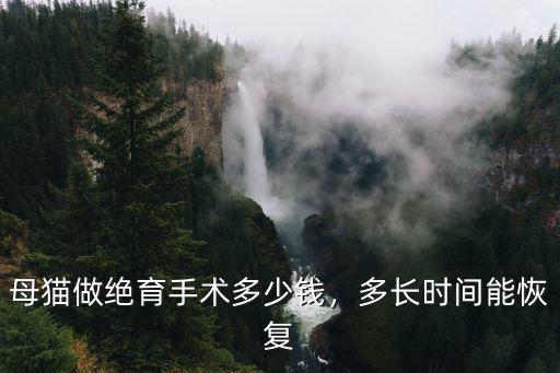 河南貓絕育手術多少錢,母貓做絕育手術多少錢