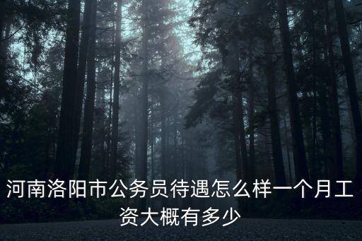 河南洛陽市公務(wù)員待遇怎么樣一個(gè)月工資大概有多少