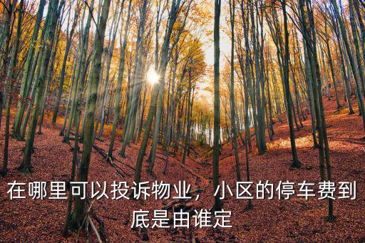 在哪里可以投訴物業(yè)，小區(qū)的停車費到底是由誰定
