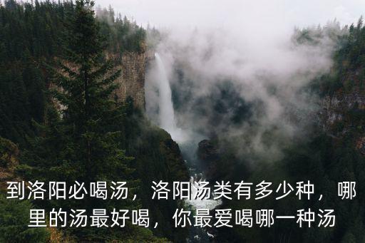到洛陽必喝湯，洛陽湯類有多少種，哪里的湯最好喝，你最愛喝哪一種湯