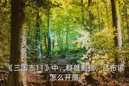 三國志11群雄割據怎么皇帝遷都許昌,《三國志11》面對群雄割據