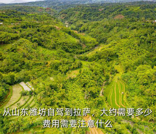 從山東濰坊自駕到拉薩，大約需要多少費用需要注意什么