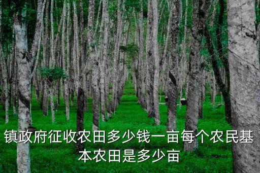 南陽農村一般農田多少錢一畝,鎮政府征收農田多少錢一畝