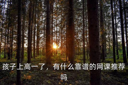 孩子上高一了，有什么靠譜的網課推薦嗎