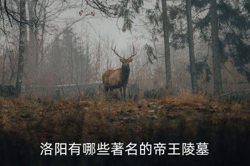 洛陽有多少個皇帝的陵,洛陽有哪些著名的帝王陵墓