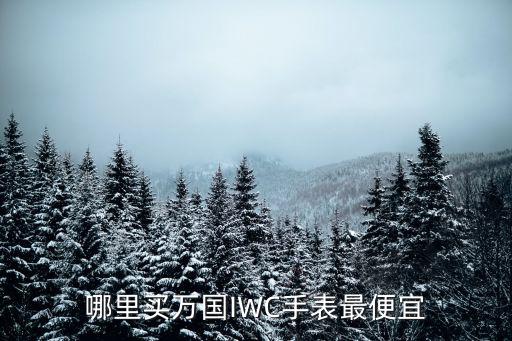 鄭州哪里買萬國手表,哪里買萬國IWC手表最便宜
