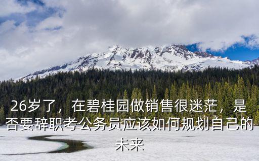 26歲了，在碧桂園做銷售很迷茫，是否要辭職考公務員應該如何規劃自己的未來