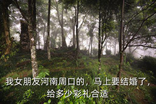 我女朋友河南周口的，馬上要結婚了，給多少彩禮合適