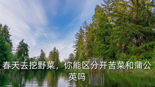 鄭州春天去哪里挖野菜,春天去挖野菜