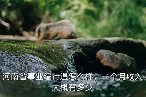 河南新益華待遇怎么樣,河南公務員工資待遇怎么樣