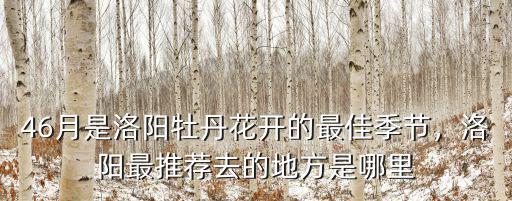 洛陽芍藥在哪里,牡丹花和芍藥花的區別在哪里