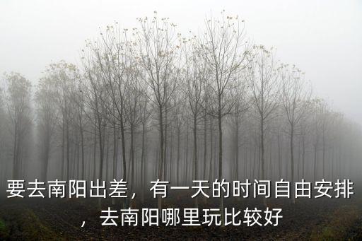 要去南陽出差，有一天的時間自由安排，去南陽哪里玩比較好