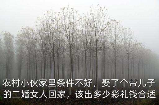 農(nóng)村小伙家里條件不好，娶了個帶兒子的二婚女人回家，該出多少彩禮錢合適