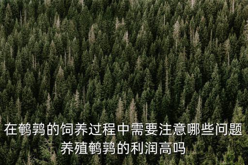 在鵪鶉的飼養(yǎng)過程中需要注意哪些問題養(yǎng)殖鵪鶉的利潤高嗎