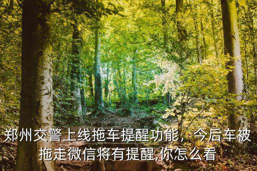 鄭州交警上線拖車提醒功能，今后車被拖走微信將有提醒,你怎么看