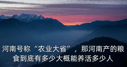 河南號稱“農業大省”，那河南產的糧食到底有多少大概能養活多少人
