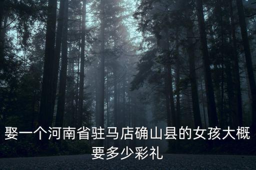 娶一個河南省駐馬店確山縣的女孩大概要多少彩禮
