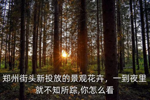鄭州街頭新投放的景觀花卉，一到夜里就不知所蹤,你怎么看